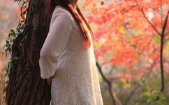 被逼婚少女超线百分